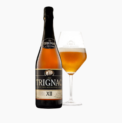 Kasteel Trignac XII